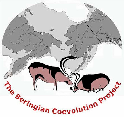 Beringian Coevolution Project