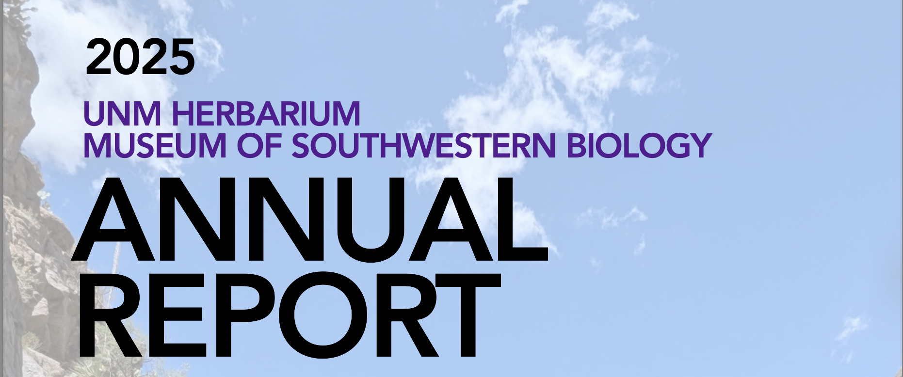 2025 Annual Report photo