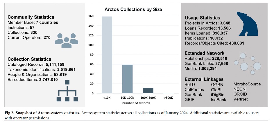 arctos-graphic.jpg
