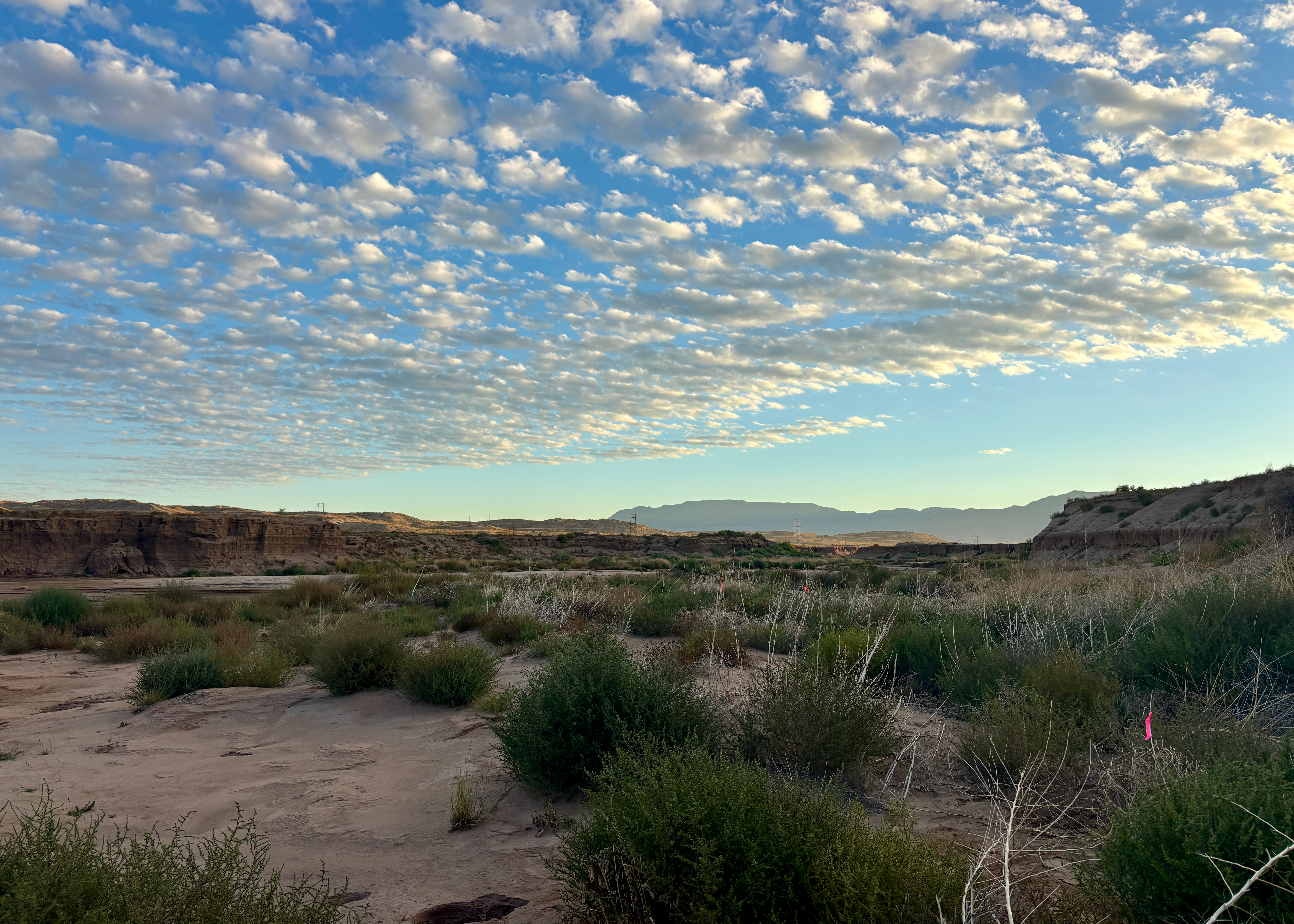 Tijeras Arroyo