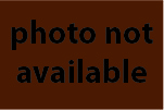no photo