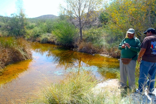 El Pandeño Spring